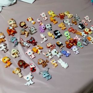 Little pet shop collection